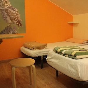 Dormitory Room Mixed